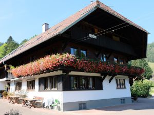 Ferienwohnung für 2 Personen ab 35 &euro; in Gutach (Schwarzwaldbahn)