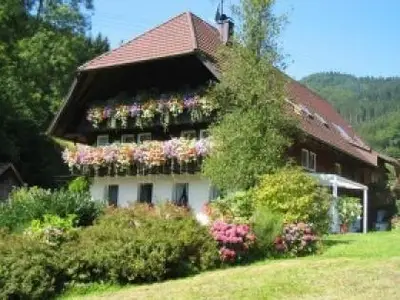 Ferienwohnung für 2 Personen (50 m²) in Gutach 10/10