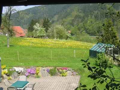 Ferienwohnung für 2 Personen (50 m²) in Gutach 9/10