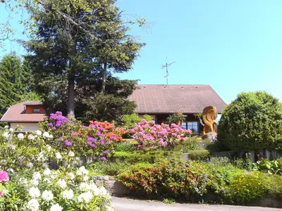 ExteriorSummer