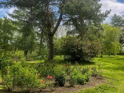 Ferienwohnung für 3 Personen (60 m²) in Gützkow 3/10