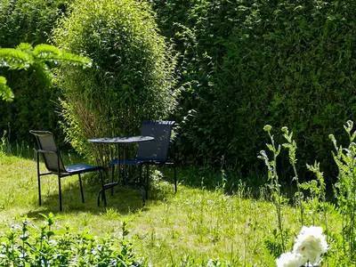 Ferienwohnung für 3 Personen (60 m²) in Gützkow 5/10