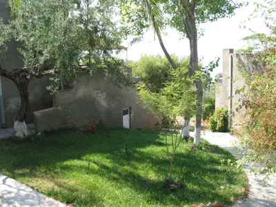 Bild 5
