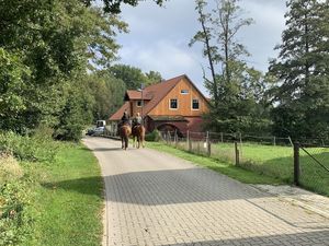 Ferienwohnung für 4 Personen (65 m²) in Habighorst