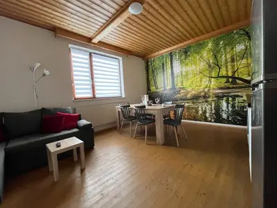 Ferienwohnung für 4 Personen (55 m²) in Habruck 1/9