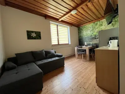Ferienwohnung für 4 Personen (55 m²) in Habruck 6/10