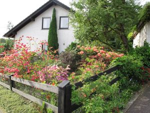 Ferienwohnung für 3 Personen (79 m²) in Hachenburg