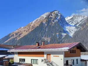 Ferienwohnung für 5 Personen (69 m²) in Häselgehr