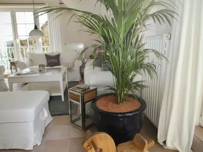HAMPTONS HOUSE: Liebevoll eingerichteter Wohnbereich mit Palme und Schaukelpferd für Familienmomente an der Ostsee.