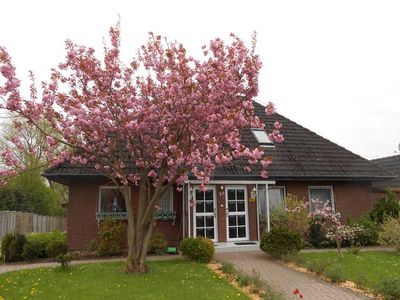 Ferienwohnung für 8 Personen (144 m²) in Haffkrug 1/10