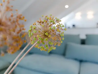 Ferienwohnung für 8 Personen (93 m²) in Haffkrug 8/10