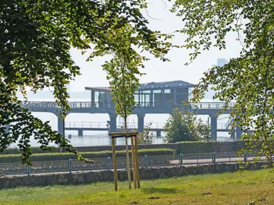 Ferienwohnung für 4 Personen (56 m²) in Haffkrug 8/10
