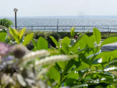 Ferienwohnung für 4 Personen (56 m²) in Haffkrug 9/10