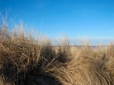 Ferienwohnung für 4 Personen (45 m²) in Haffkrug 8/10