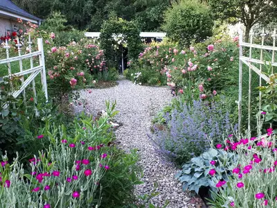 Ferienwohnung für 4 Personen (100 m²) in Hage 8/10