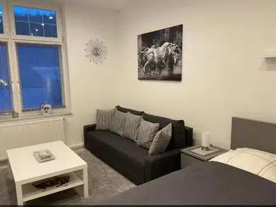 Ferienwohnung für 4 Personen (28 m²) in Hagen 1/10