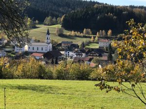 22611815-Ferienwohnung-2-Haibach (Straubing-Bogen)-300x225-5