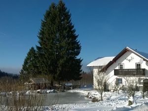 18357360-Ferienwohnung-6-Haidmühle-300x225-2