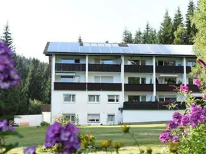 Ferienwohnung für 3 Personen (55 m²) in Haidmühle