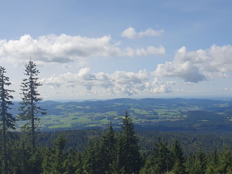 23925727-Ferienwohnung-2-Haidmühle-800x600-1