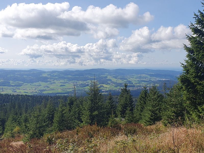 24006776-Ferienwohnung-4-Haidmühle-800x600-2