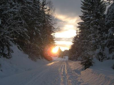 Im Gemeindebereich gibt es mehr als 70 km herrliche Loipen.