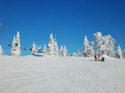 Skiverleih- Schneeschuhverleih, Skischulen und vieles mehr bietet das nah gelegene Skizentrum das in nur 10 Autominuten
