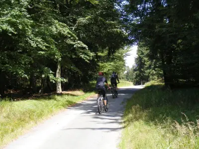 ideal für Wanderer und Biker.-- hier können Sie die Natur in vollen Zügen genießen