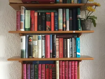 Ferienwohnung für 4 Personen (55 m²) in Haidmühle 5/10