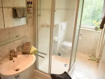 Ferienwohnung für 4 Personen (55 m²) in Haidmühle 9/10