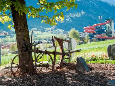 GardenSummer