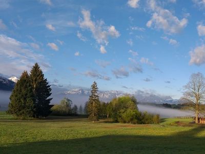 Ausblick Garten