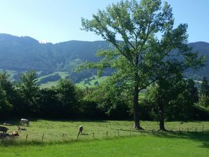 19249007-Ferienwohnung-4-Halblech-300x225-2