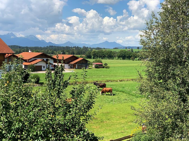 24036553-Ferienwohnung-2-Halblech-800x600-1