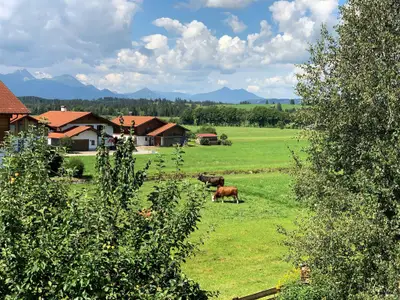 Aussicht 1