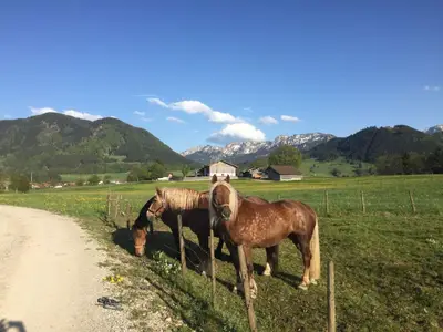 Aussicht