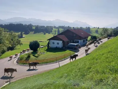 Ferienwohnung für 4 Personen (53 m²) in Halblech 2/10