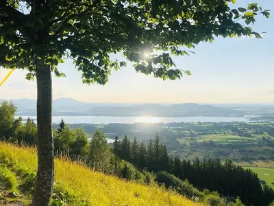 Ferienwohnung für 5 Personen (60 m²) in Halblech 6/10