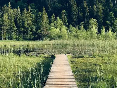 Ferienwohnung für 9 Personen (130 m²) in Halblech 9/10