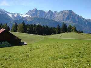 18362311-Ferienwohnung-7-Haldi bei Schattdorf-300x225-2