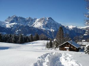 18362310-Ferienwohnung-7-Haldi bei Schattdorf-300x225-2