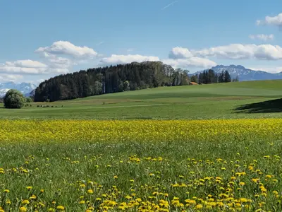 Frühling direkt hinterm Haus