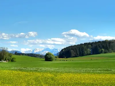 Berblick Richtung Süden gleich hinterm Haus