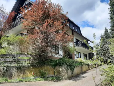 Ferienwohnung für 4 Personen (60 m²) in Hallenberg 1/10