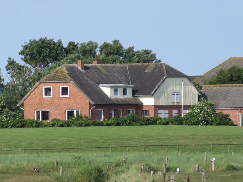 19104065-Ferienwohnung-4-Hallig - Langeness-800x600-2