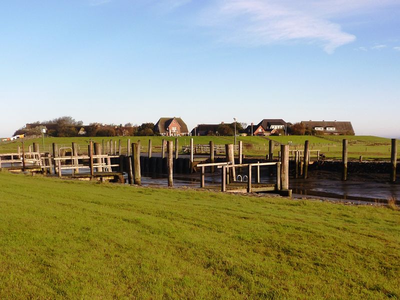 18138902-Ferienwohnung-3-Hallig Oland-800x600-1