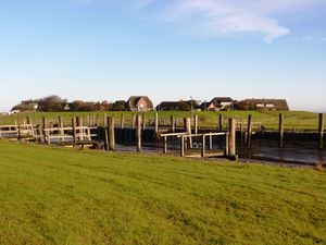 18684878-Ferienwohnung-2-Hallig Oland-300x225-1