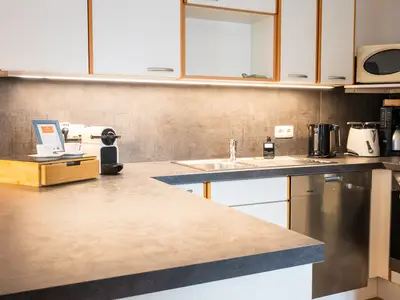 APARTMENT 148 I MAVIJOLU Lakeside Suites Hallstatt