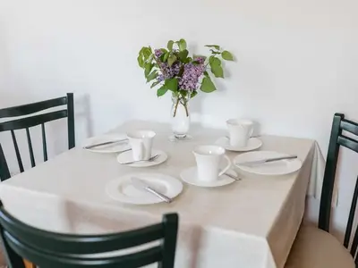 Ferienwohnung für 3 Personen (52 m²) in Halsbrücke 10/10