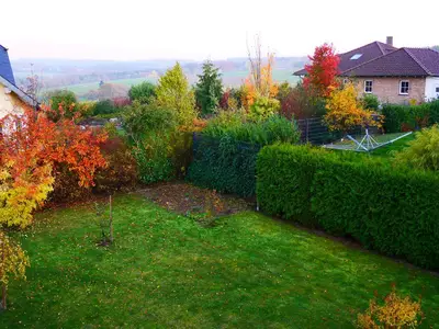 Fernblick